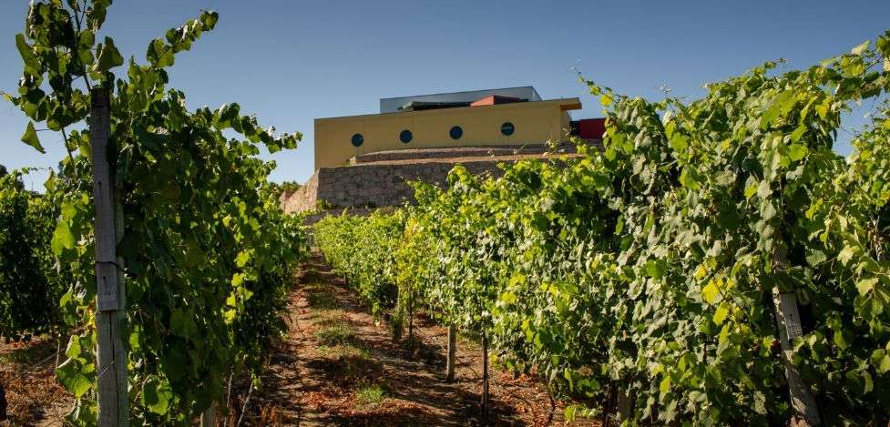 bodega Quinta de Santa Cristina