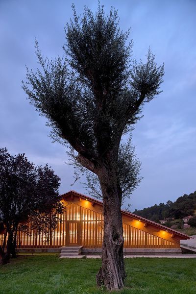 bodega Adega Casa da Torre