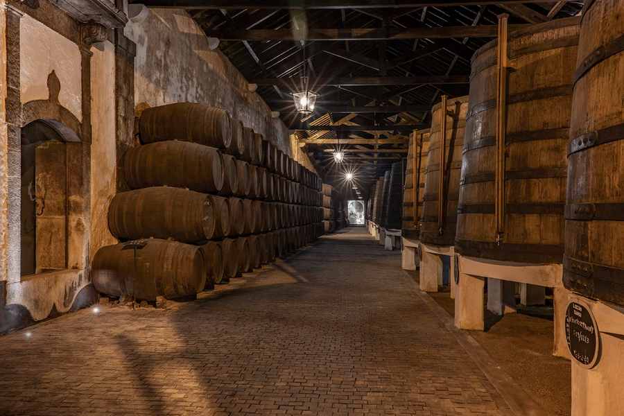 bodega Caves Ferreira