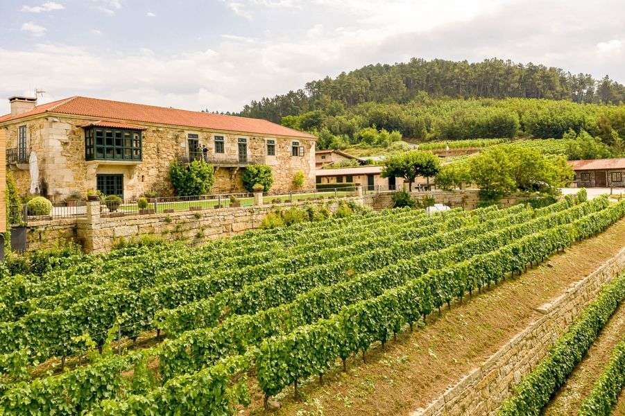 bodega Casal de Armán