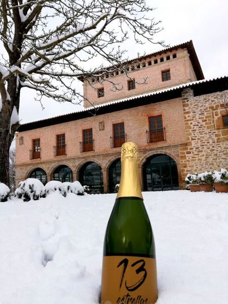 bodega Txakoli Txikubin