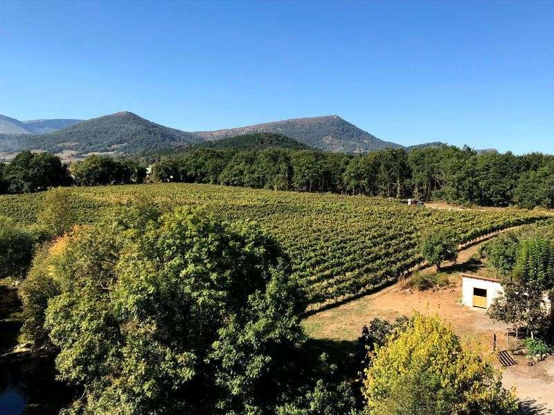 bodega Txakoli Txikubin