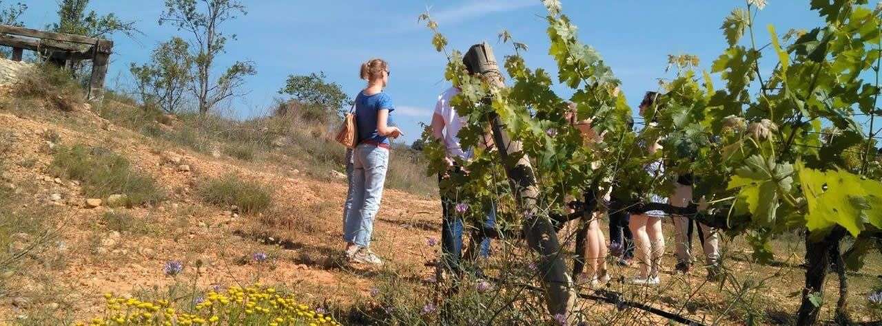 bodega Cooperativa de Viver