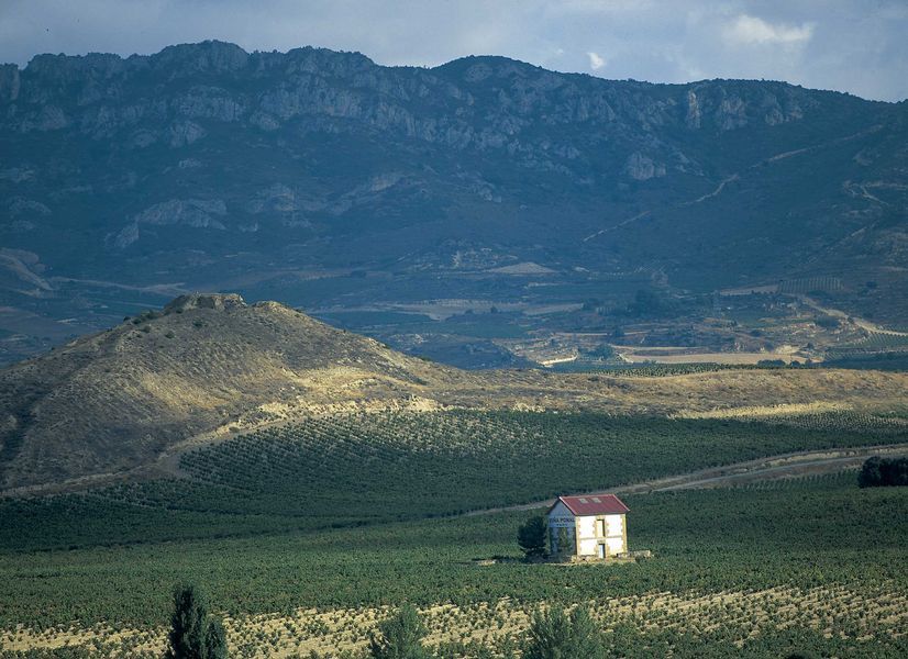 bodega Viña Pomal