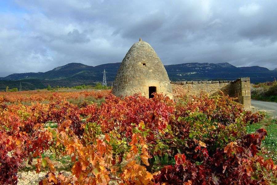 bodega Bodegas Sonsierra