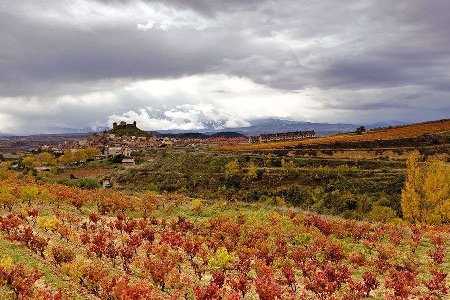 bodega Bodegas Sonsierra