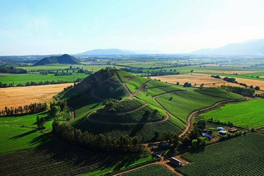 bodega Viña Siegel Family Wines