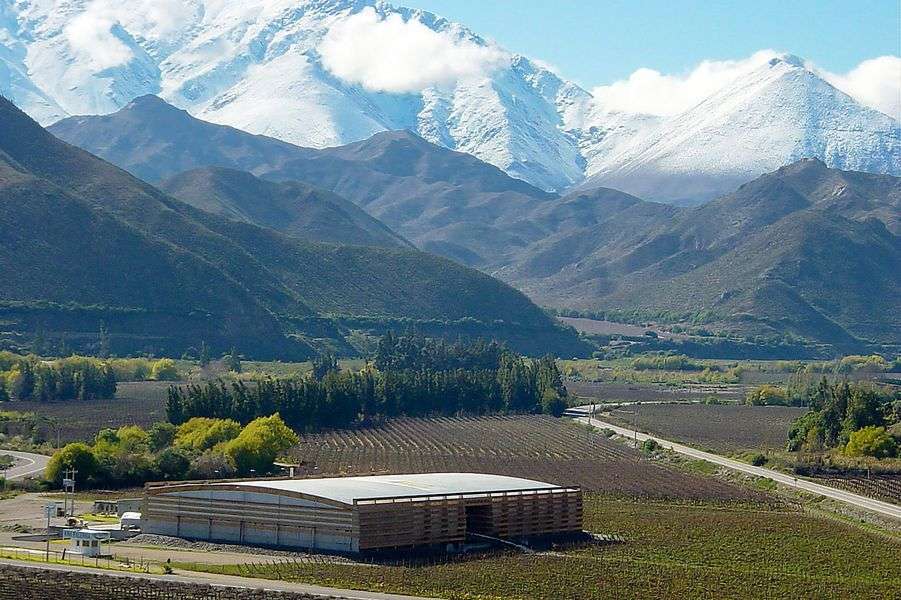 bodega Viña Falernia