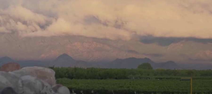 bodega Zuccardi Valle del Uco