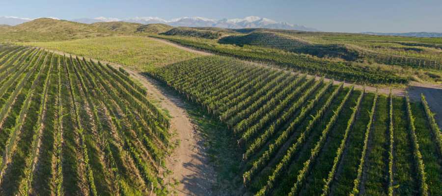 bodega Zuccardi Valle del Uco