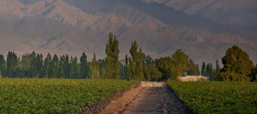 bodega Zuccardi Valle del Uco