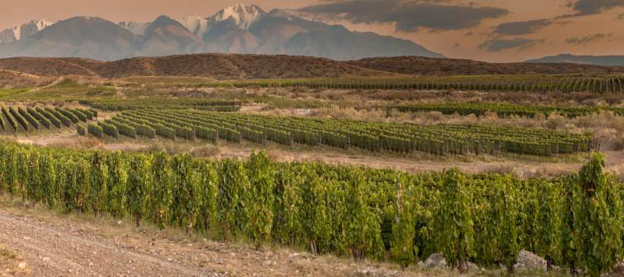 bodega Zuccardi Valle del Uco