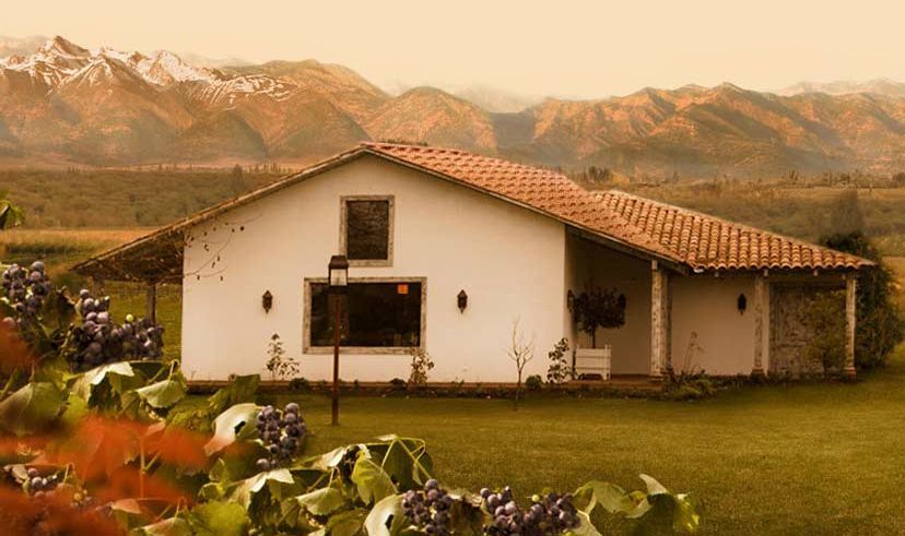 bodega Viña Casa Silva