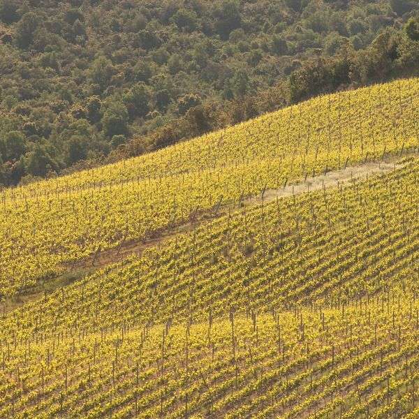 bodega Viña Clos Apalta-Lapostolle