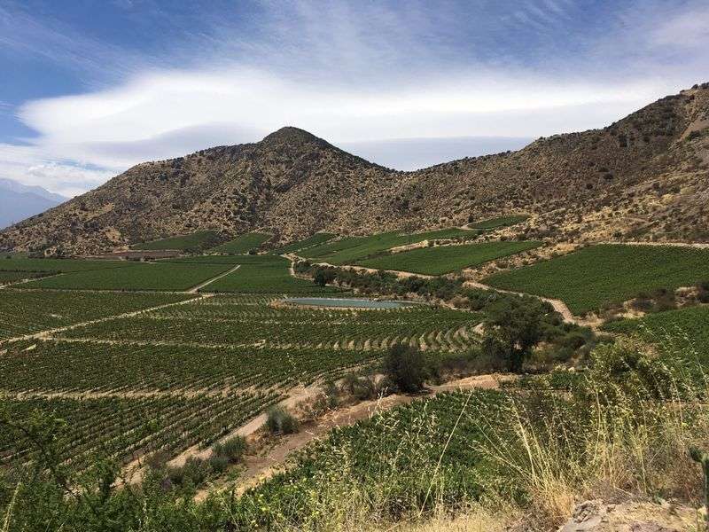 bodega Viña Emiliana