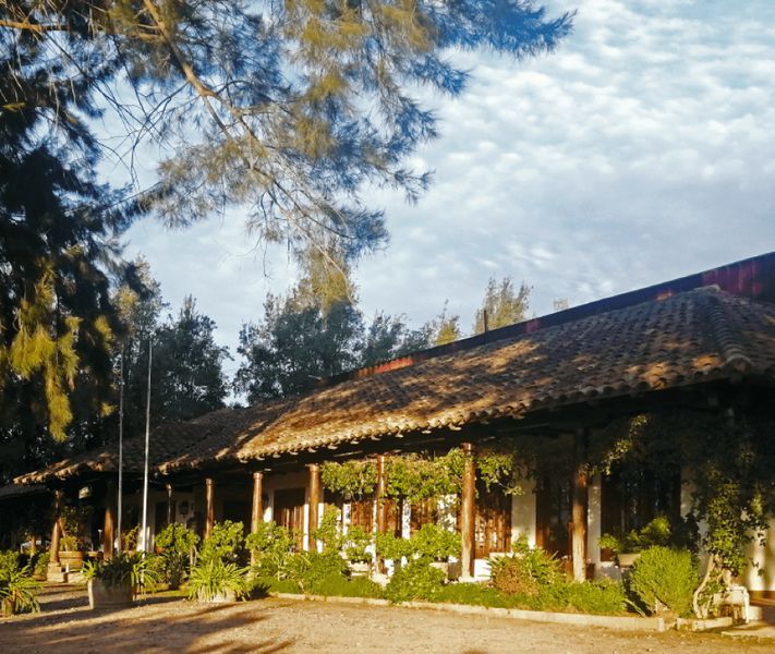 bodega Viña Laura Hartwing