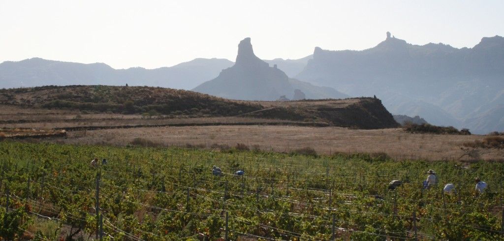 bodega Bodegas Bentayga