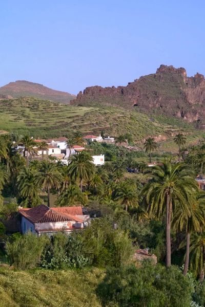 bodega Finca Escudero