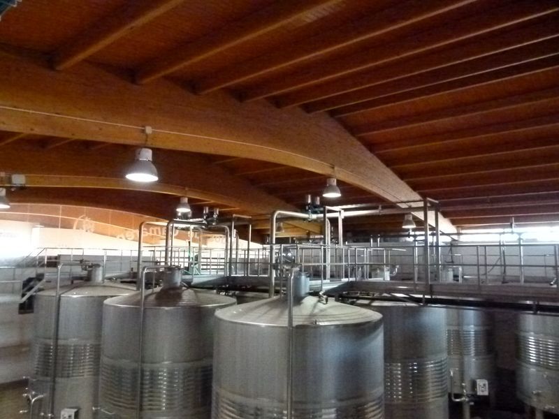 bodega Cooperativa viñedos de Camarena