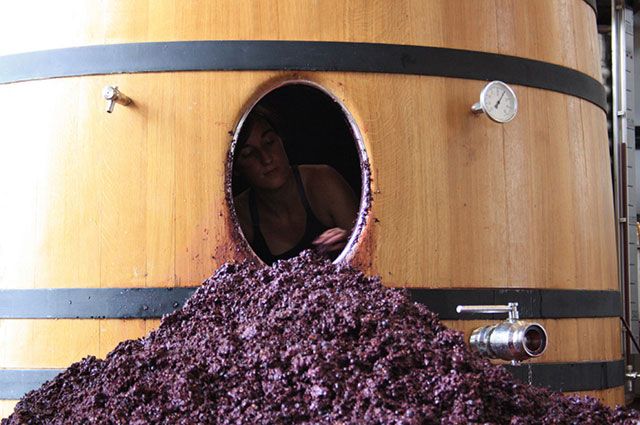 bodega Bodegas Arrayán