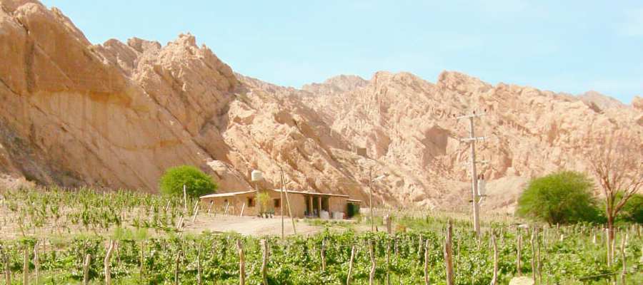 bodega Quebrada de las flechas