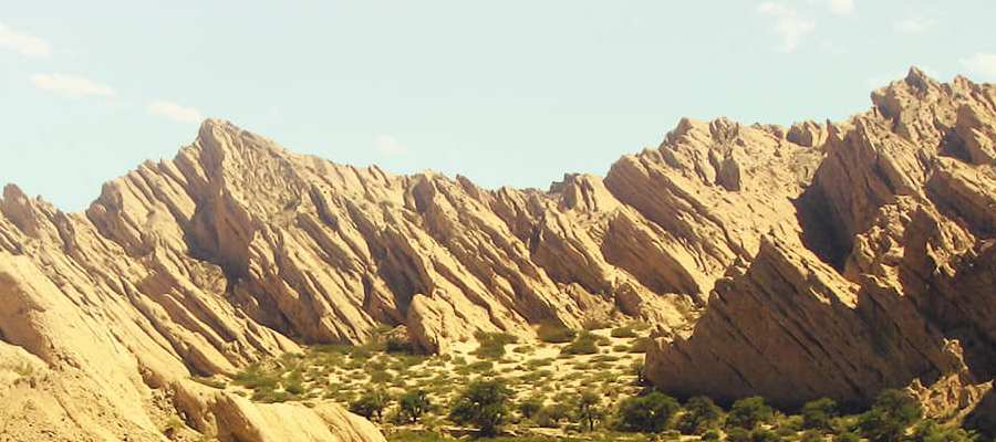 bodega Quebrada de las flechas