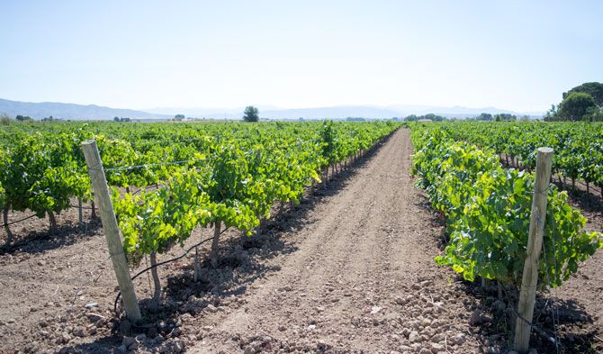 bodega Bodegas Santa Margarita