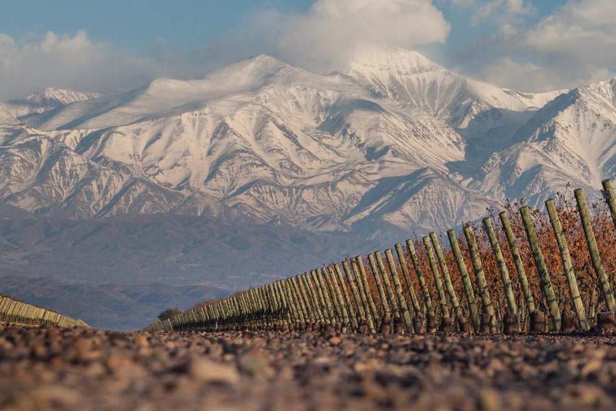 bodega Finca Decero