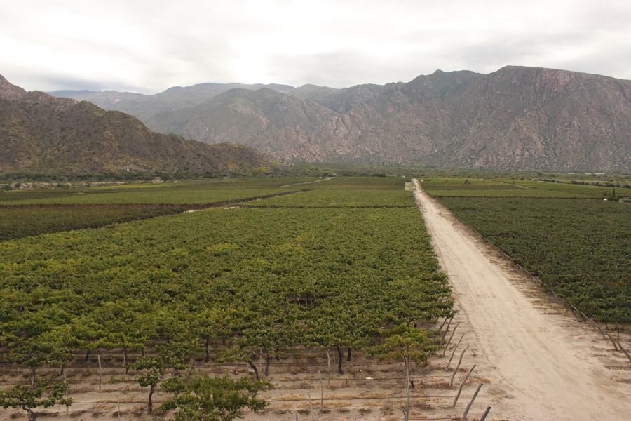 bodega Finca Quara - Finca El Recreo