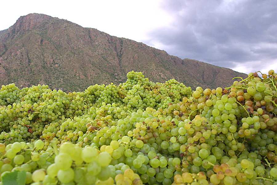 bodega Finca Quara - Finca El Recreo