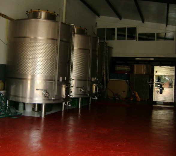 bodega Bodega Ecológica Luis Saavedra