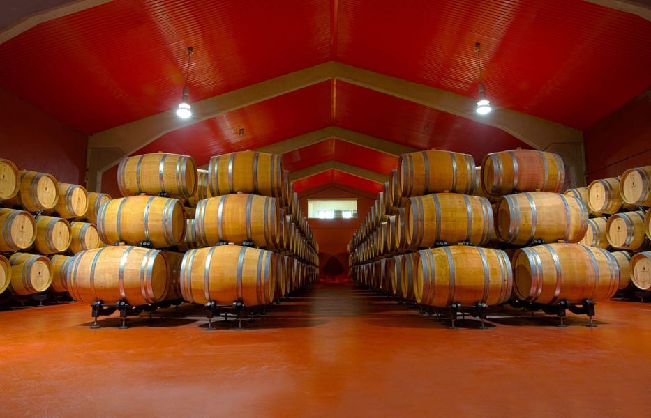 bodega Bodegas Virtus