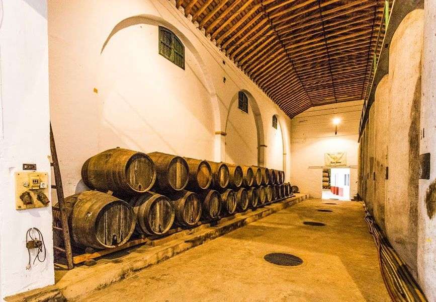 bodega Bodegas Oliveros