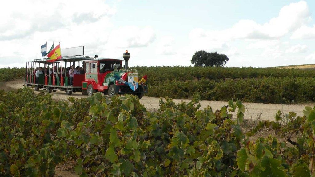 bodega Bodegas Andrade