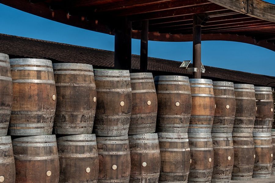 bodega Marques de Riscal