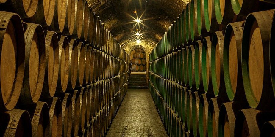 bodega Marques de Riscal