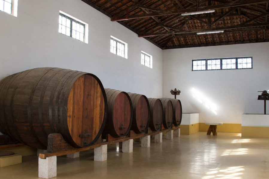 bodega Adega São Mamede da Ventosa