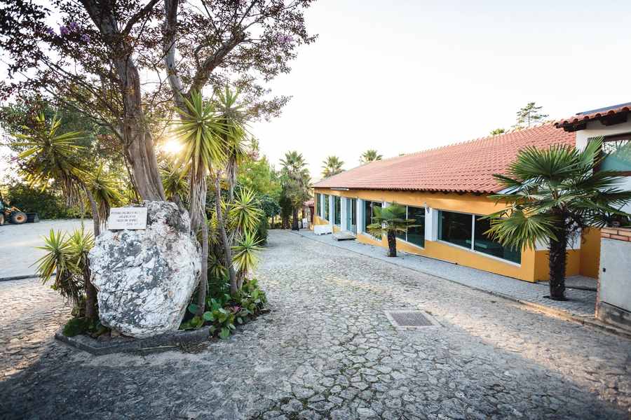 bodega Quinta vale do Cruz