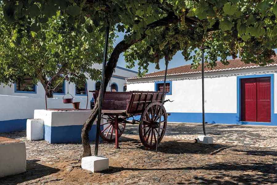 bodega Adega José de Sousa