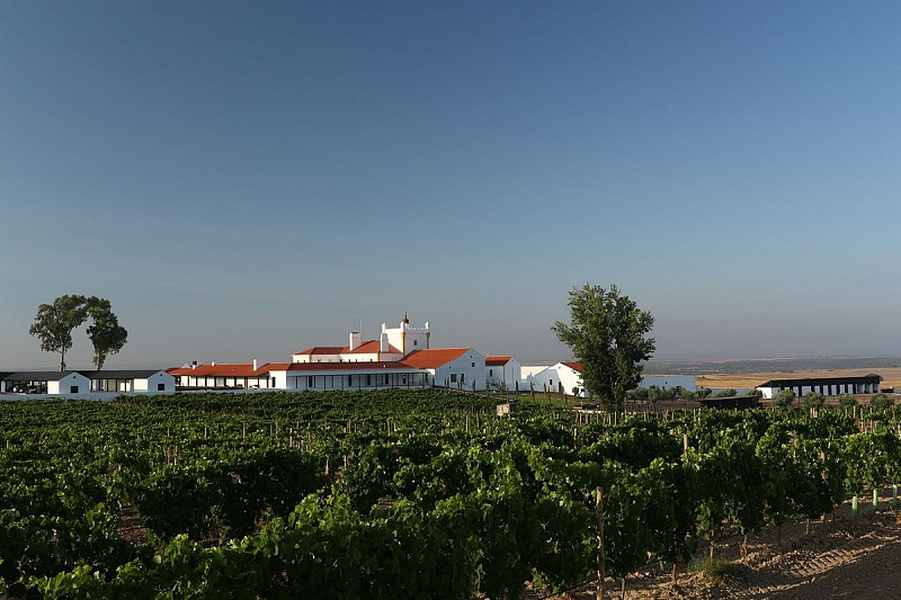 bodega Torre de Palma - Wine Hotel