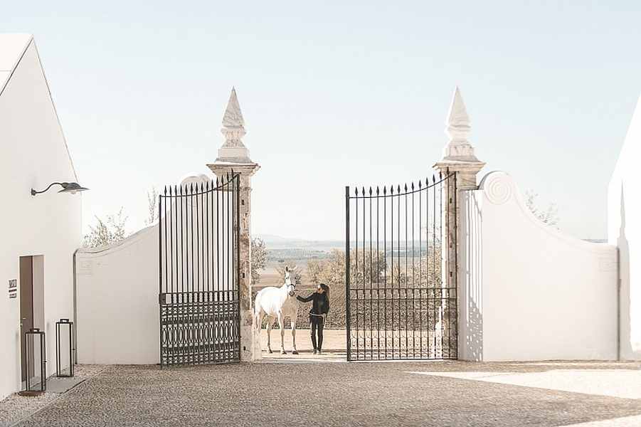 bodega Torre de Palma - Wine Hotel