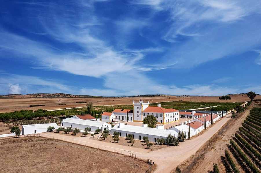 bodega Torre de Palma - Wine Hotel