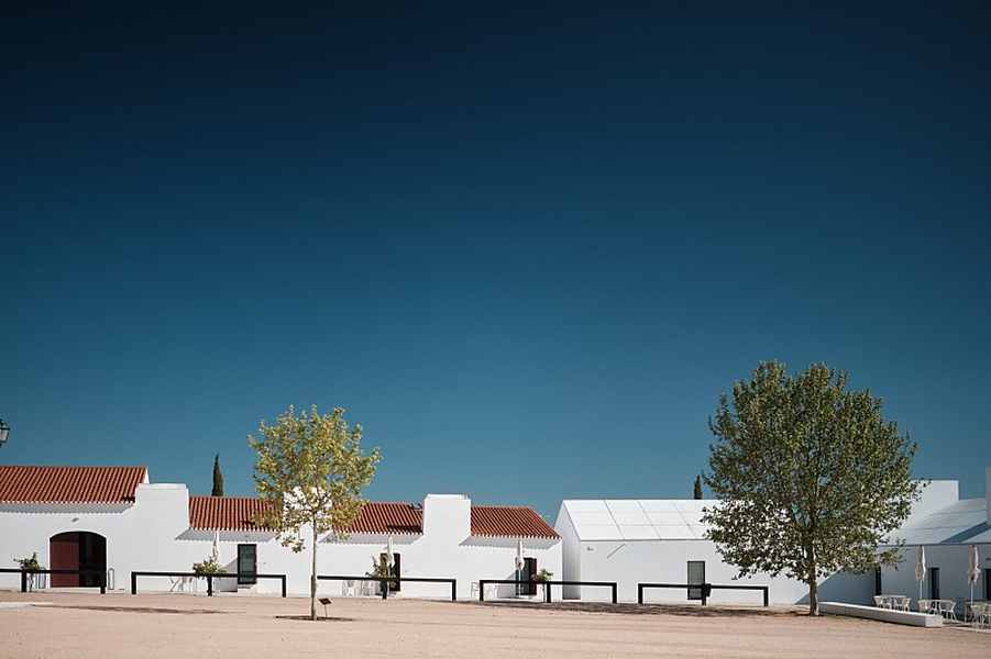 bodega Torre de Palma - Wine Hotel