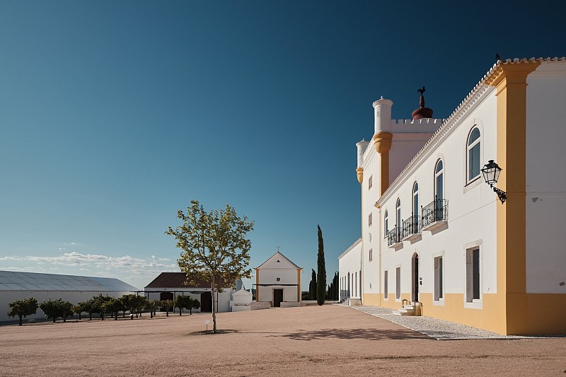 bodega Torre de Palma - Wine Hotel