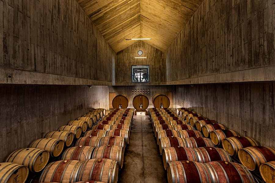 bodega Torre de Palma - Wine Hotel