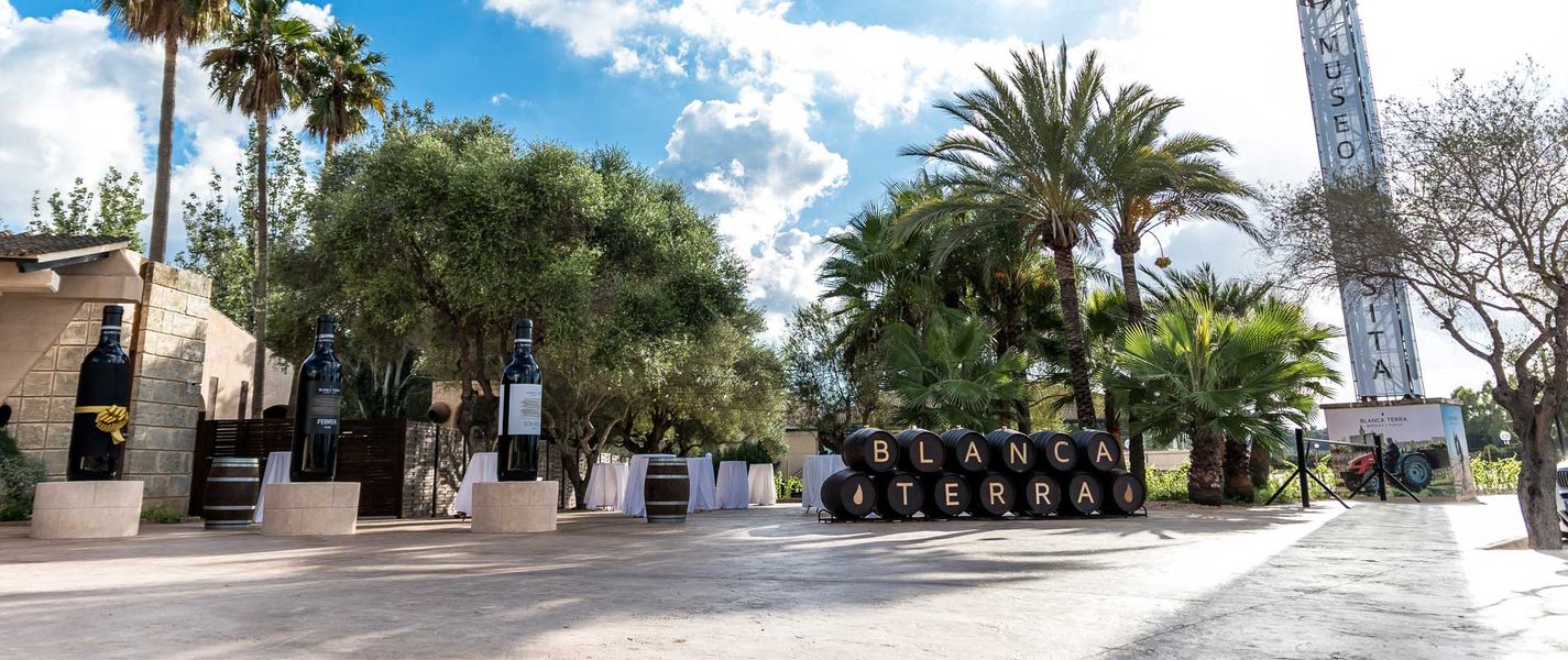 bodega Bodegas Blanca Terra