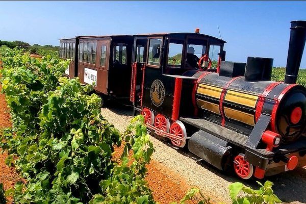 bodega Bodegas Vi rei