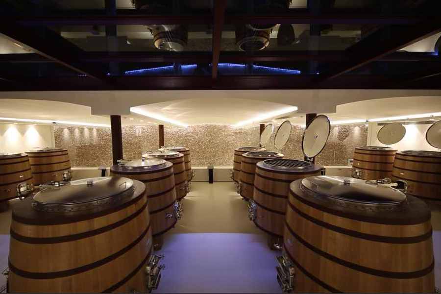 bodega Bodegas Son Mayol