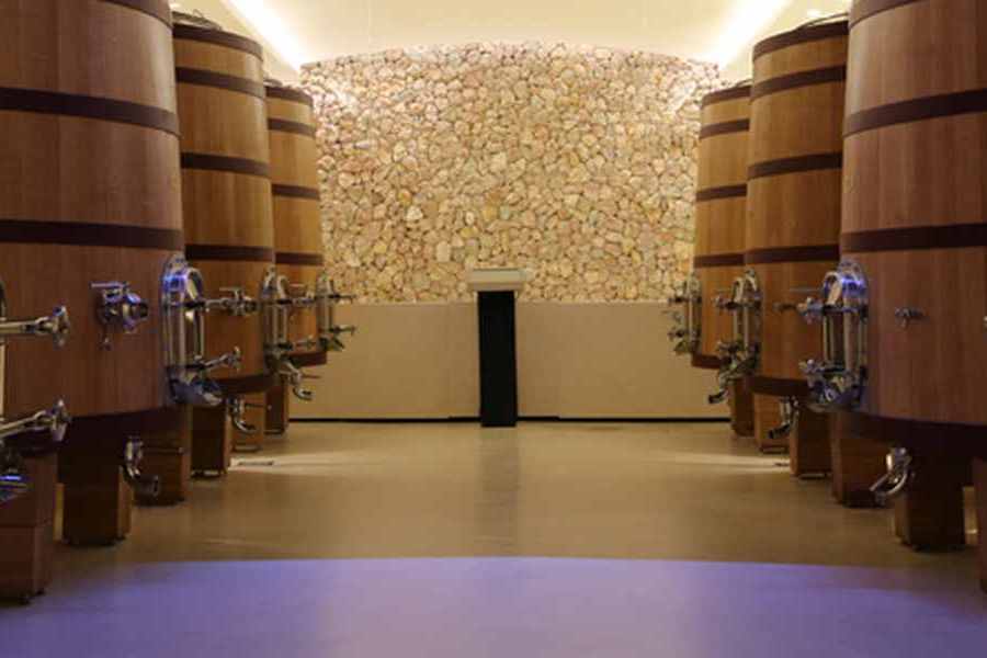 bodega Bodegas Son Mayol