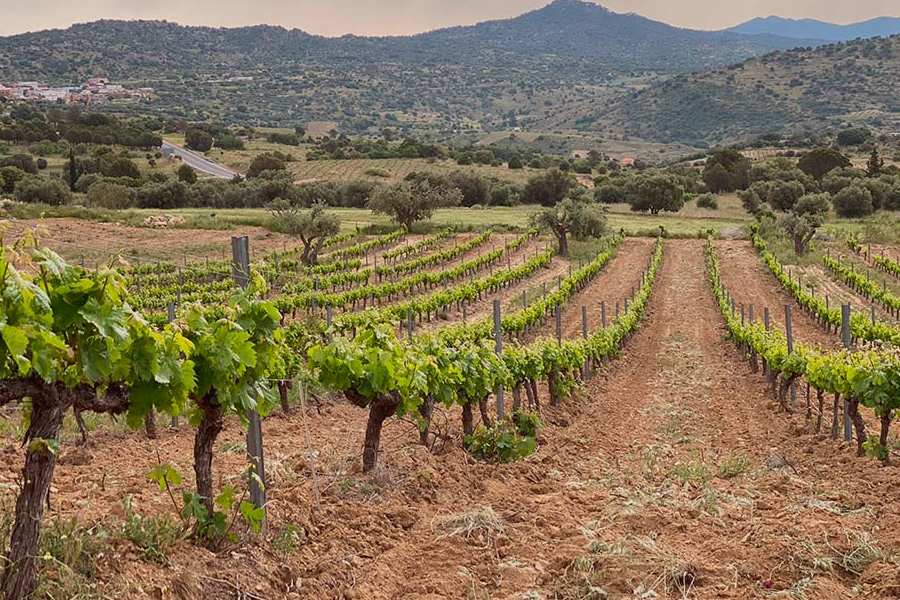 bodega Tierras de Cebreros